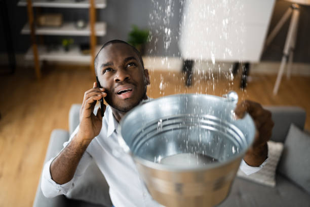 Best Water damage restoration near me  in Oak Ridge, TN