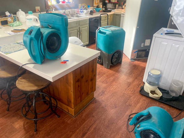 Best Ceiling water damage repair  in Oak Ridge, TN
