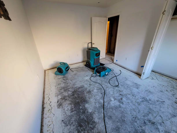 Best Water damage contractors near me  in Oak Ridge, TN