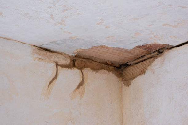 Best Water damage restoration cost  in Oak Ridge, TN