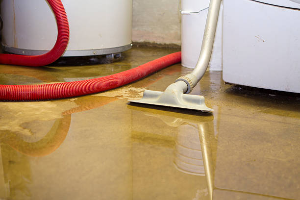 Best Water damage restoration near me  in Oak Ridge, TN