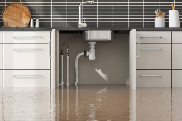 Best Commercial water damage restoration  in Oak Ridge, TN